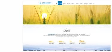 昆明奧遠(yuǎn)科技 云天化股份的數(shù)字化伙伴，一站式網(wǎng)絡(luò)服務(wù)解決方案提供商
